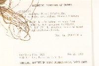 刀傷草藏品圖，第2張