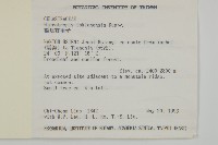 福建賽衛矛、福建假衛矛藏品圖，第2張