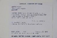 草野氏冬青藏品圖，第2張