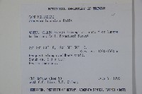 呂宋莢迷藏品圖，第2張