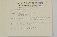 訶梨勒、訶子藏品圖，第2張