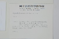 登錄號:S012831藏品圖，第2張