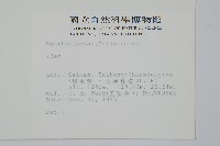 登錄號:S012833藏品圖，第2張