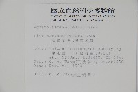 倒卵葉冬青、金平氏冬青藏品圖，第2張