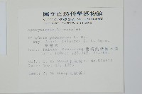 雷君木藏品圖，第2張