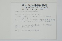 雷君木藏品圖，第2張