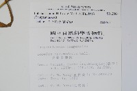 大本山梗菜藏品圖，第2張