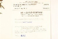 台東黃菀藏品圖，第2張