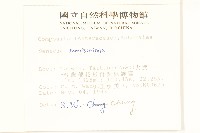 玉山黃菀藏品圖，第2張