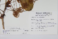 登錄號:S012928藏品圖，第2張