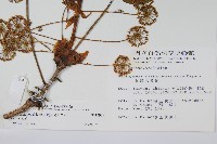 登錄號:S012929藏品圖，第5張