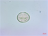 登錄號:S012929藏品圖，第4張