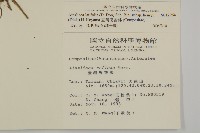 臺灣鬼督郵藏品圖，第2張