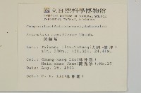 羊角藤、武靴藤藏品圖，第4張