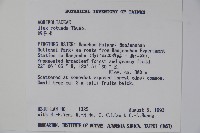 鐵冬青藏品圖，第2張