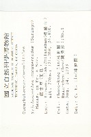 王瓜藏品圖，第2張