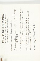 槭葉括樓藏品圖，第2張