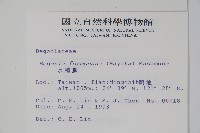 水鴨腳藏品圖，第2張