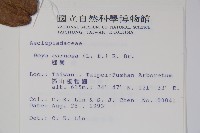 毬蘭藏品圖，第2張