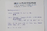 毬蘭藏品圖，第2張