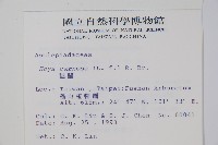 毬蘭藏品圖，第2張