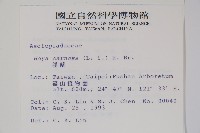 毬蘭藏品圖，第2張