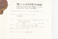 黃鵪菜藏品圖，第2張