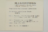 茵蔯蒿藏品圖，第2張