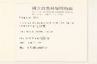 田代氏澤蘭藏品圖，第2張