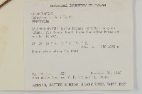 南華南蛇藤，青江藤藏品圖，第2張