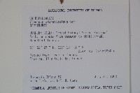 珊瑚樹藏品圖，第2張