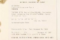 臺灣澤蘭藏品圖，第2張