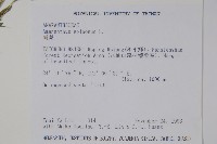 刺莧藏品圖，第2張