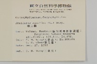 鵝兒腸藏品圖，第5張