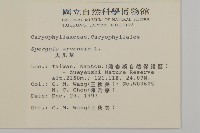 大爪草藏品圖，第2張