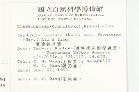 焊菜藏品圖，第2張