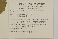 臺灣山白蘭藏品圖，第2張