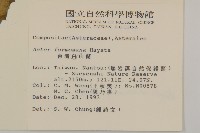 臺灣山白蘭藏品圖，第2張
