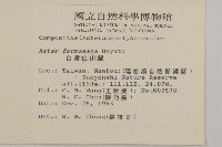 臺灣山白蘭藏品圖，第2張