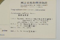 臺灣鬼督郵藏品圖，第2張