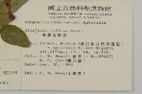 臺灣鬼督郵藏品圖，第2張