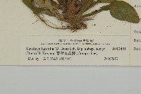 臺灣鬼督郵藏品圖，第3張