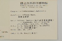 臺灣鬼督郵藏品圖，第2張