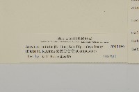 臺灣鬼督郵藏品圖，第3張