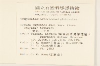 黃花三七草藏品圖，第2張