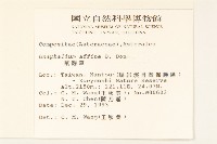 鼠麴草藏品圖，第2張