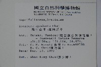 無梗忍冬藏品圖，第2張