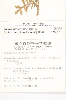 臺灣山芥菜藏品圖，第2張