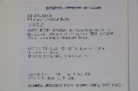 呂宋莢迷藏品圖，第2張