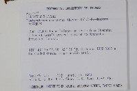 大花細辛、馬蹄香藏品圖，第2張